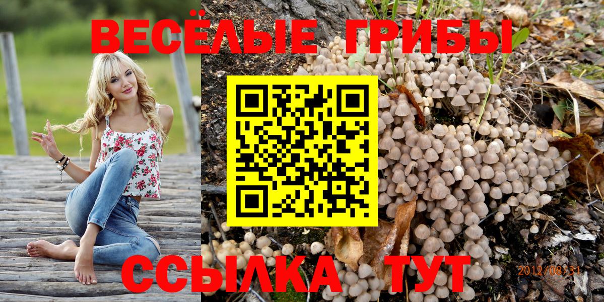 Галлюциногенные грибы Cubensis  Вход с VPN  купить   Михайловск 
