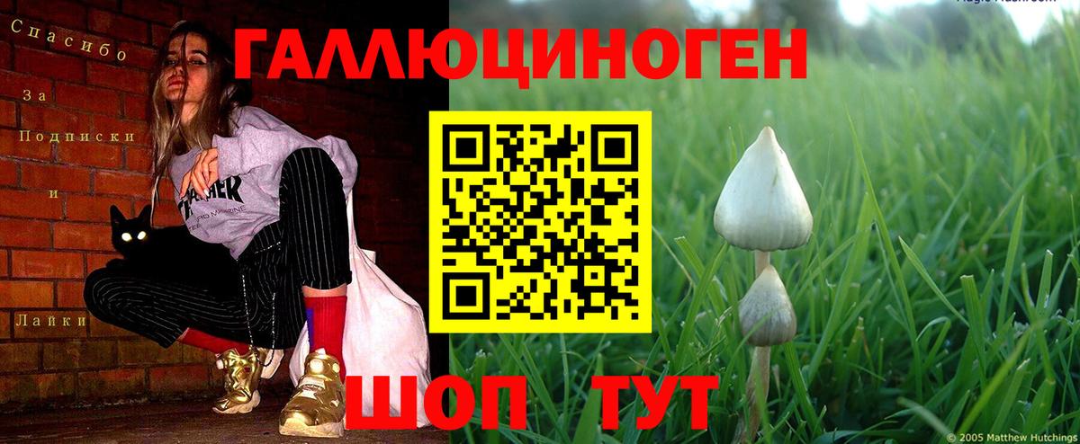 Галлюциногенные грибы Magic Shrooms Михайловск